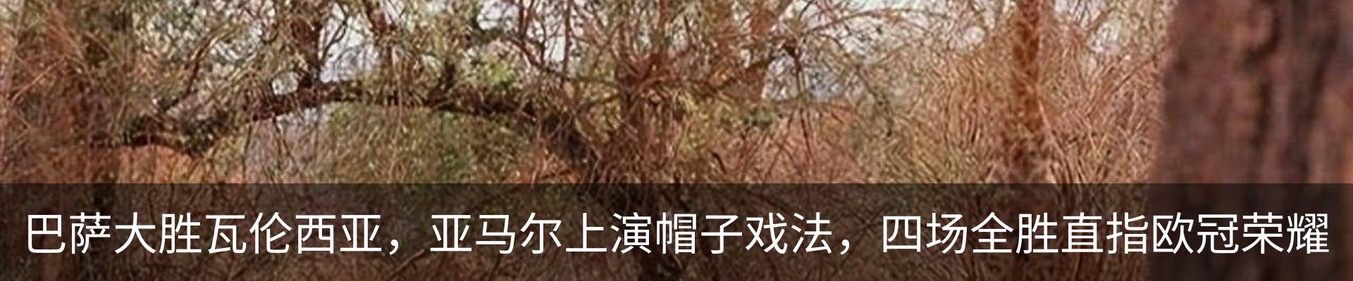 新闻动态