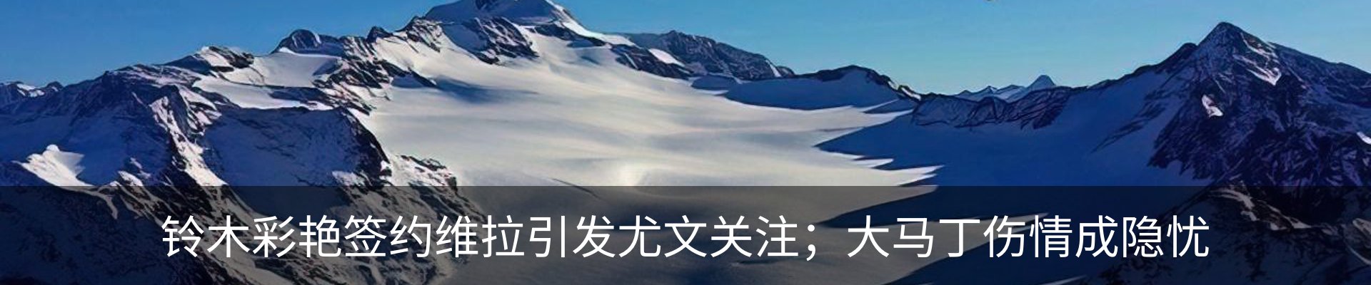 新闻动态